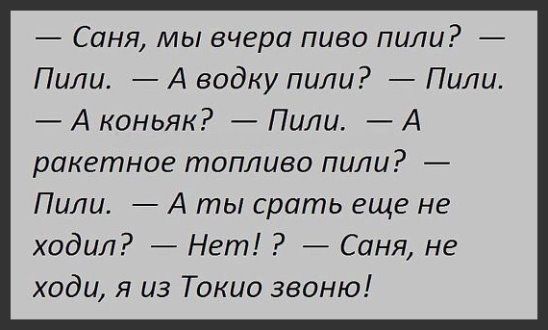Саня мы вчера пиво пили Пили А водку пили Пили А коньяк Пили А ракетное топливо пили Пили А ты срать еще не ходил Нет Саня не ходи я из Токио звоню