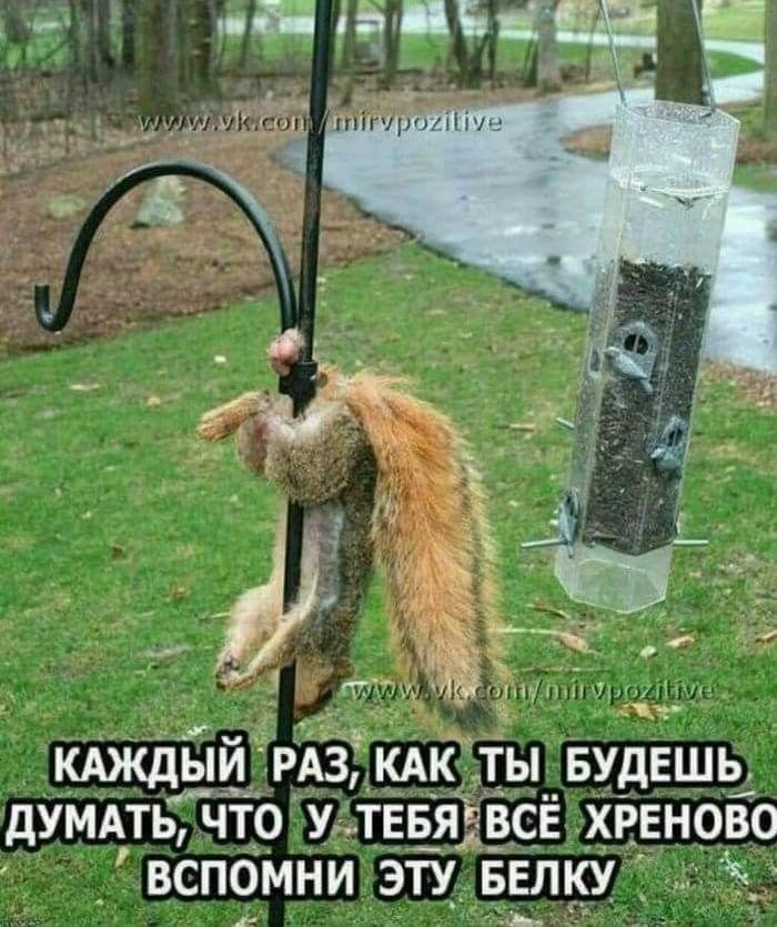 кАждь_й РАз кАк ты Будешь думАть чт_о у тввягвсв ХРЕново вспоМни эту репку