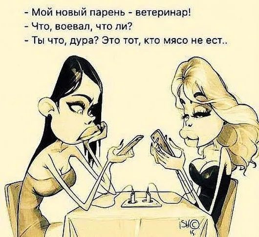 Мой новый парень ветеринар Что воевал что ли Ты что дура Это тот кто мясо не ест