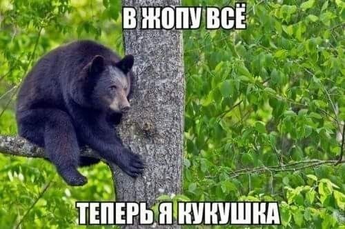 пп эдшшшйд