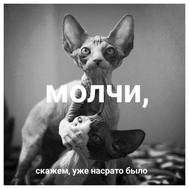 О _ уже насрато было