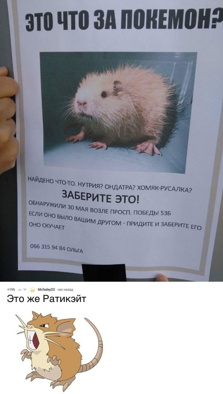 96 мы 172 пап Это же Ратикэйт
