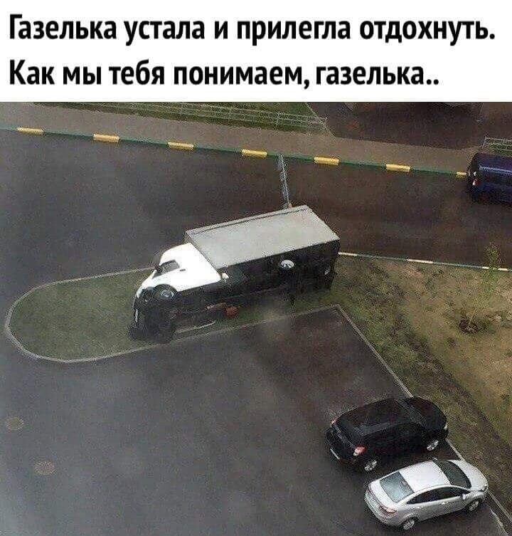 Газелька устала и прилегла отдохнуть Как мы тебя понимаем газелька _