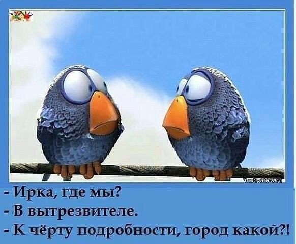 Ирка где шп мВ внгрезвителе К чёрту пщабнесш тред швй1
