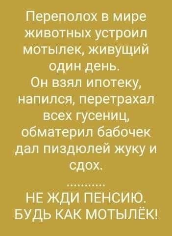 Переполох в мире животных устроил мотылек живущий один день Он взял ипотеку напился перетрахал всех гусениц обматерил бабочек дал пиздюлей жуку и сдох НЕ жди ПЕНСИЮ БУДЬ КАК МОТЫЛЁК