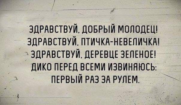 ЗДРАВСТВУЙ ДОБРЫЙ МОЛОДЕЦ ЗДРАВСТВУЙ ПТИЧКА НЕВЕПИЧКА ЗПРАВСТВУЙ ЦЕРЕВЦЕ ЗЕЛЕНОЕ ЦИКО ПЕРЕД ВСЕМИ ИЗВИННЮЕЬ ПЕРВЫЙ РАЗ ЗА РУЛЕМ