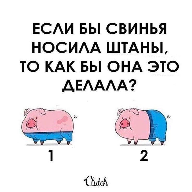 ЕСАИ БЫ СВИНЬЯ НОСИАА ШТАНЫ ТО КАК БЫ ОНА ЭТО АЕАААА Фк