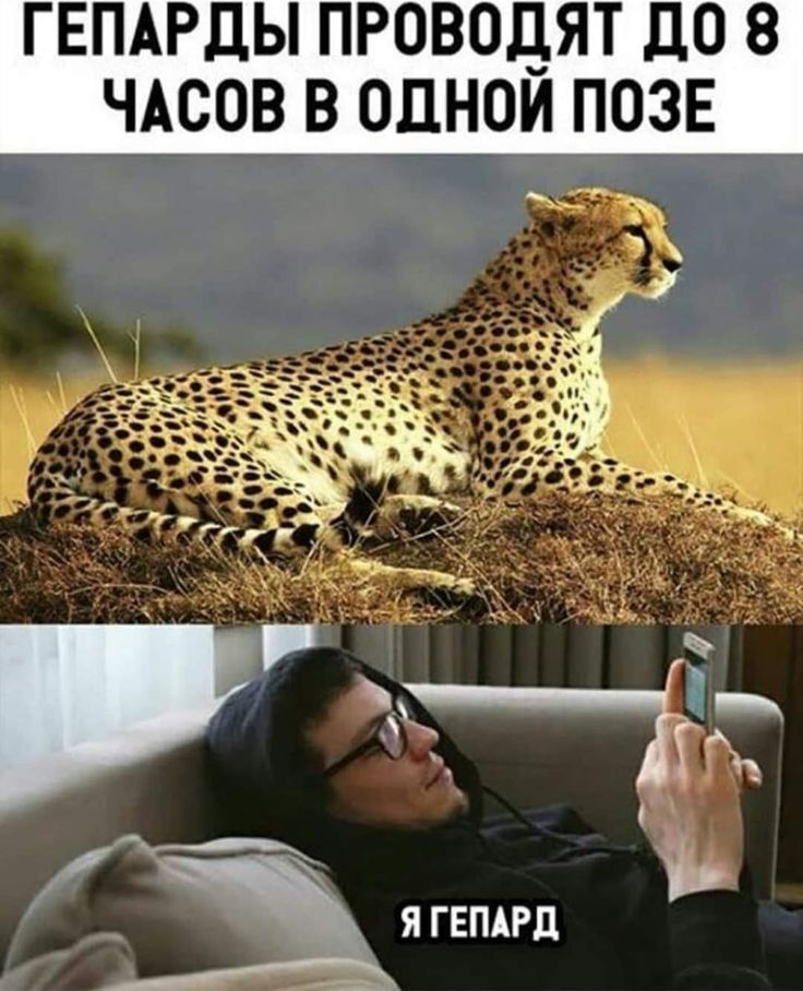 і ЯГЕПАРд