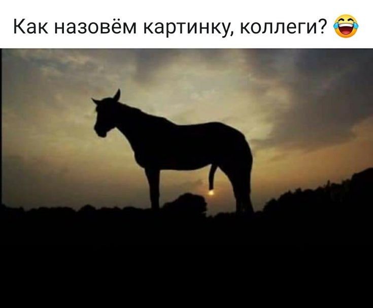 Как назовём картинку коллеги
