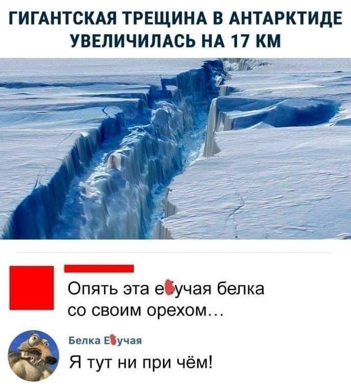 ГИГАНТСКАЯ ТРЕЩИНА В АНТАРКТИДЕ УВЕЛИЧИЛАСЬ НА 17 КМ _ яд _ Опять эта еучая белка СО СВОИМ орехом Белка Бучая Я тут ни при чём