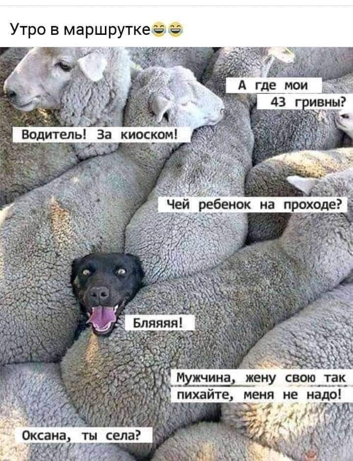 Утро в маршруткеаа