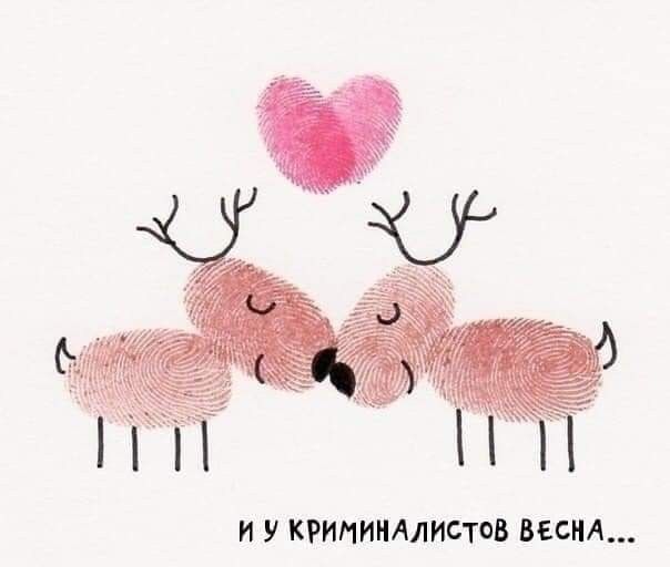И У КРИПИНАЛИСТОВ ВЕСНА