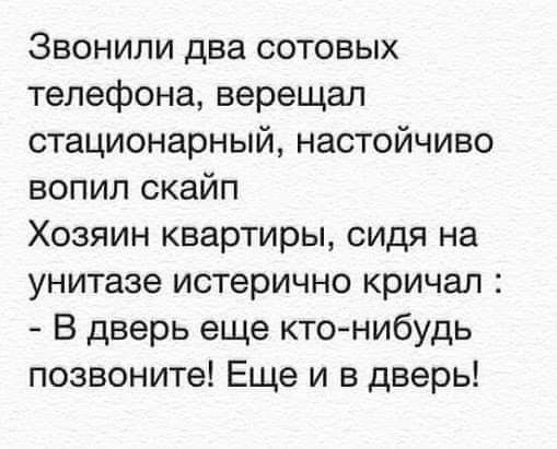 Звонили два сотовых телефона верещал стационарный настойчиво вопил скайп Хозяин квартиры сидя на унитазе истерично кричал В дверь еще кто нибудь позвоните Еще и в дверь