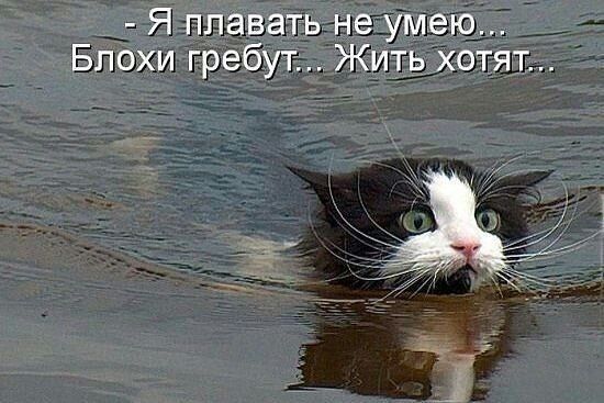 Явать_р де Блох гребуъ ждХет