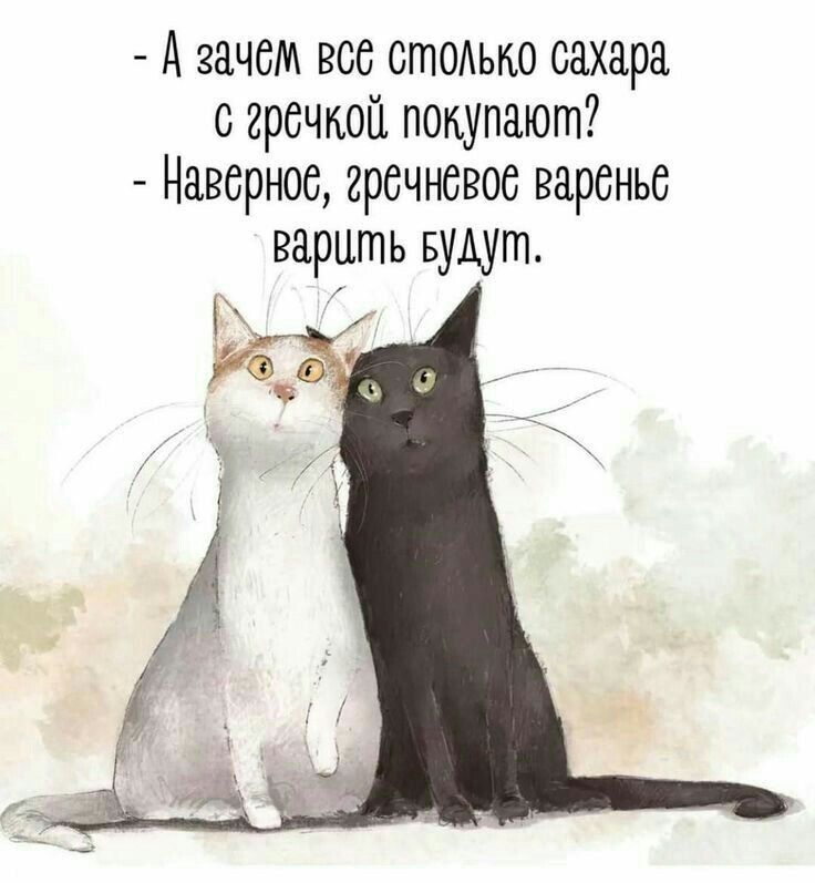 А зачем все стсыю сахара 0 гречкой покупают Наверное гречневос варенье варить Будут