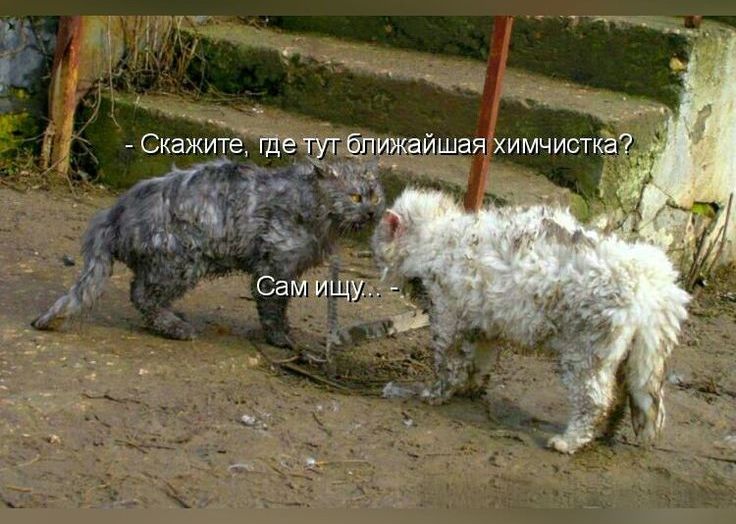 1 Скажи_те где