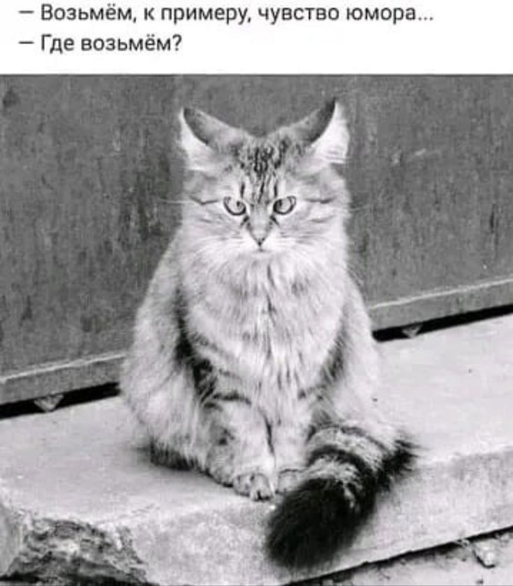Возьмём к примеру чувство юмора Где возьмём