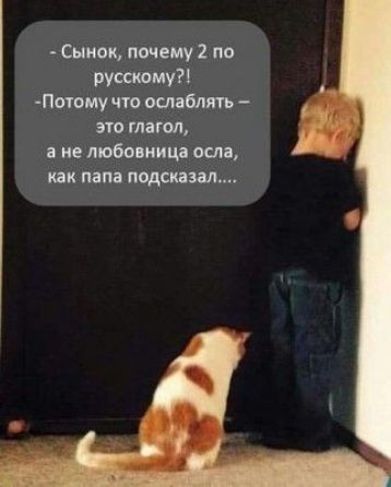 Сынок почему 2 по русаюму Потому что ошпблить это глагол не любовница осп как папа падежам