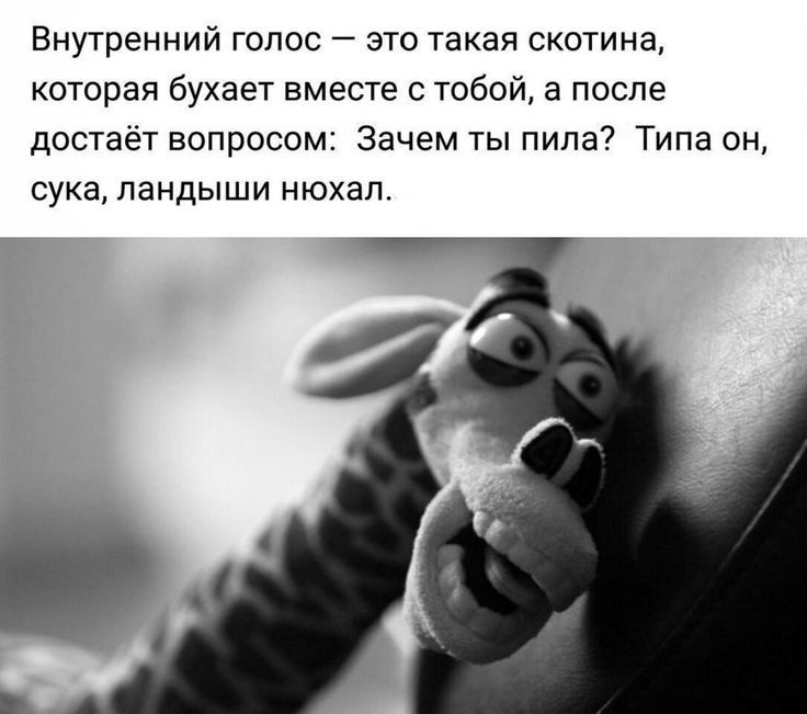 Внутренний голос это такая скотина которая бухает вместе с тобой а после достаёт вопросом Зачем ты пила Типа он сука ЛЭНДЫШИ НЮХЭП