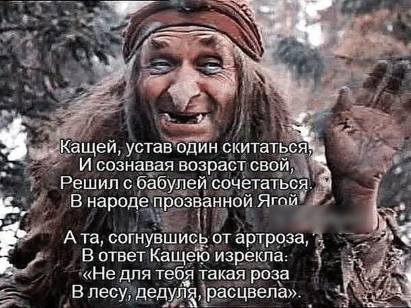 а А та согнувШИсь от артроза В ответ КаЩею изрекпа Не для тебя такая раза В лесу дедудд1я1расЦвела_