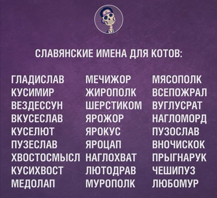 СЛАВЯНСКИЕ ИМЕНА ДЛЯ КОТОВ ГЛАДИСЛАВ КУСИМИР ВЕЗДЕССУН ВКУСЕСЛАВ КУСЕЛЮТ ПУЗЕСЛАВ МЕЧИЖОР ЖИРОПОЛК ШЕРСТИКОМ ЯРОЖОР ЯРОКУС ЯРОЦАП ХВОСТОСМЫСЛ НАГЛОХВАТ КУСИХВОСТ МЕДОЛАП ЛЮТОДРАВ МУРОПОЛК МЯСОПОЛК ВСЕПОЖРАЛ ВУГЛУСРАТ НАГЛОМОРД ПУЗОСЛАВ ВНОЧИСКОК ПРЫГНАРУК ЧЕШИПУЗ ЛЮБОМУР