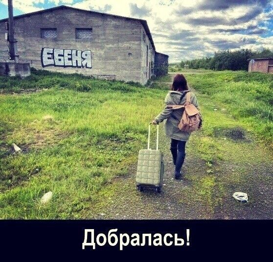 ч РОН Добралась