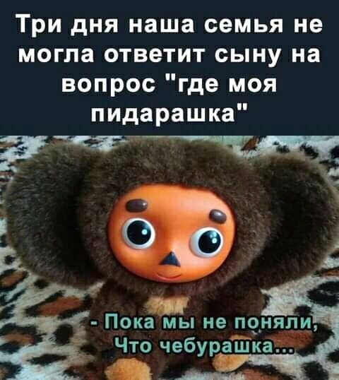 Три дня наша семья не могла ответит сыну на вопрос где моя пидарашка Пока мы не поняли Что чебурашка