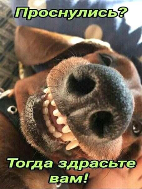 Проснулись