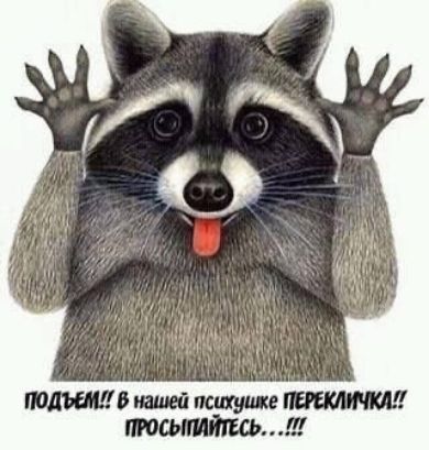 т5шюйпс