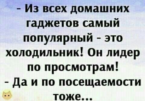 Из всех домашних гаджетов самый популярный это холодильник Он лидер по просмотрам Да и по посещаемости тоже