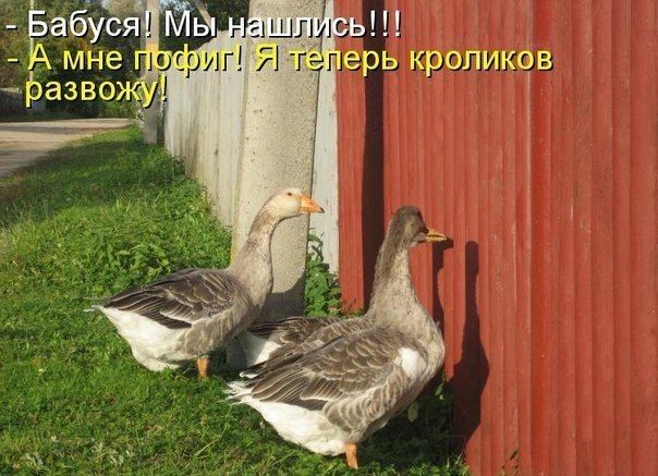 Тьар Развожу