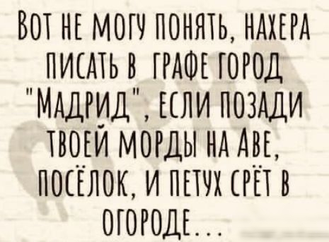 ВОТ НЕ МОП ПОНЯТЬ НАХЕРА ПИСАТЬ В ГРАФЕ ГОРОД МАДРИД ЕСЛИ ПОЗАДИ ТВОЕИ МОРДЫ Нд АВД ПОСЕЛОК И ППЧХ РП В ОГОРОДЕ