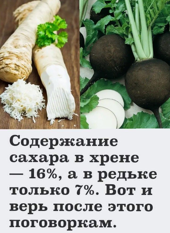 _ 1 Содержание сахара в хрене 16 а в редьке только 7 Вот и верь после этого поговоркам