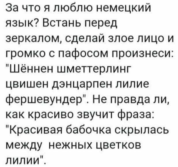 За что я люблю немецкий язык Встань перед зеркалом сделай злое лицо и громко с пафосом произнеси Шённен шметтерлинг цвишен дэнцарпен лилие фершевундер Не правда ли как красиво звучит фраза Красивая бабочка скрылась между нежных цветков лилииЧ