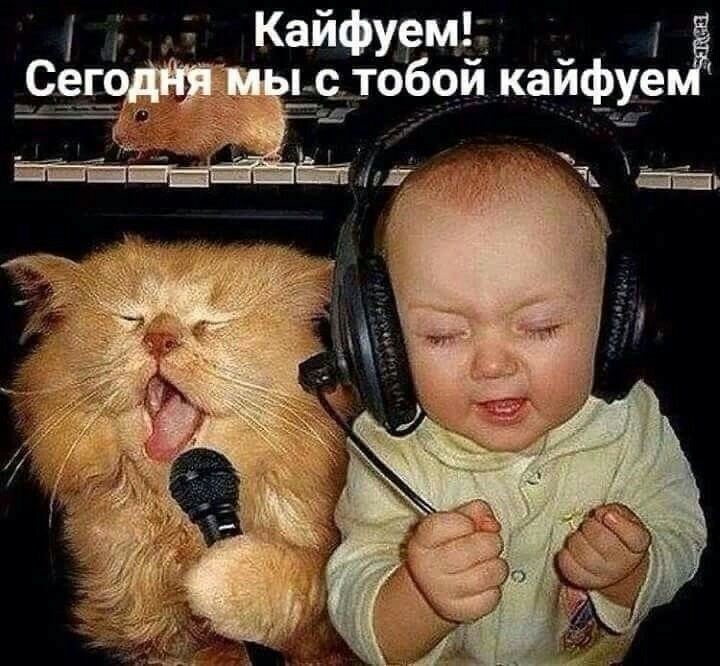 ім г Фуе Мъкаи фуу 369 Каи том 14 г ав