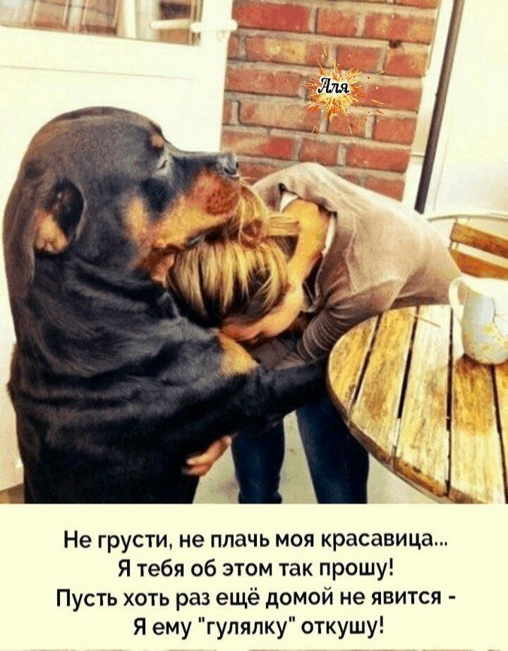 Не грусти не плачь моя красавица Я тебя об этом так прошу Пусть хоть раз ещё домой не явится Я ему гулялку откушу