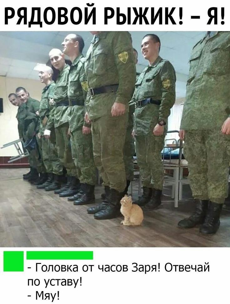 РЯДОВОИ РЫЖИ_ _Я Головка от часов Заря Отвечай по уставу Мяу