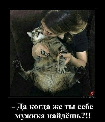 Да когда же ты себе мужика найдёшь
