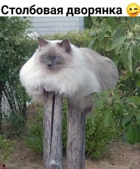 э 2 рянка о ч а Ф