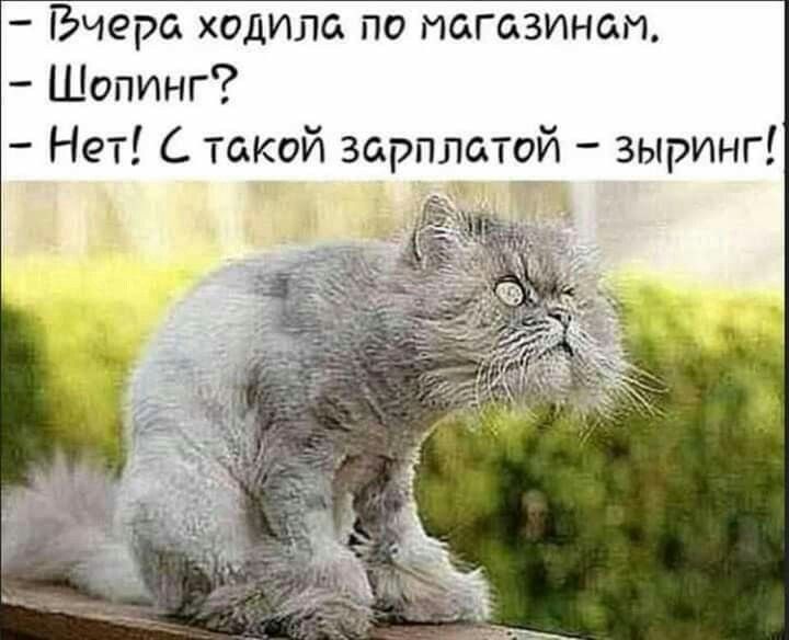 ГЬчера ходила по магазинам Шопинг Нет С такой зарплатой зыринг _