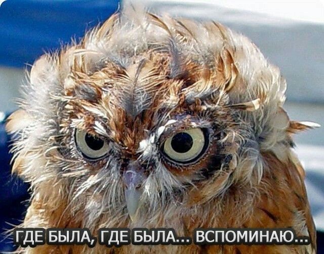 5049 ЁЁ ді гдЕ БылА ГДЕ БылАЕЁ ВСПОМИНАЮ