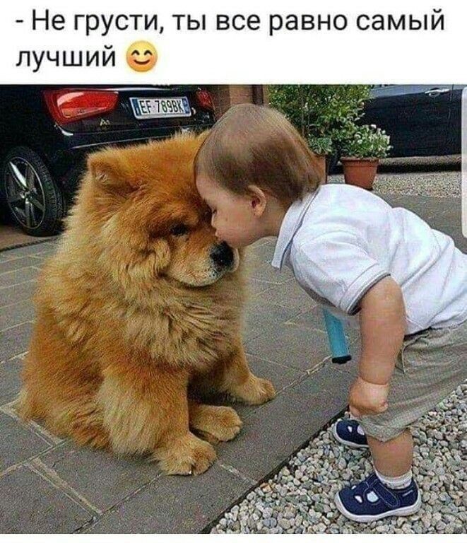 Не грусти ты все равно самый лучший Х_иж