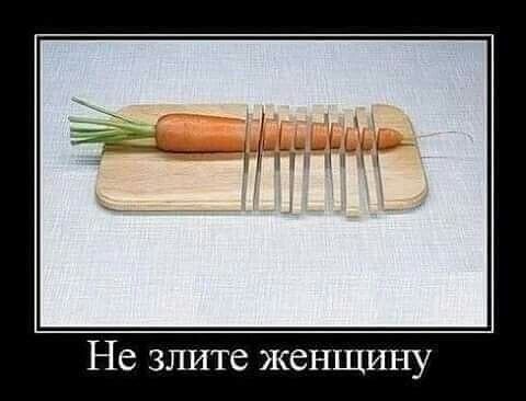 НС ЗЛИТС КСНЩИНу