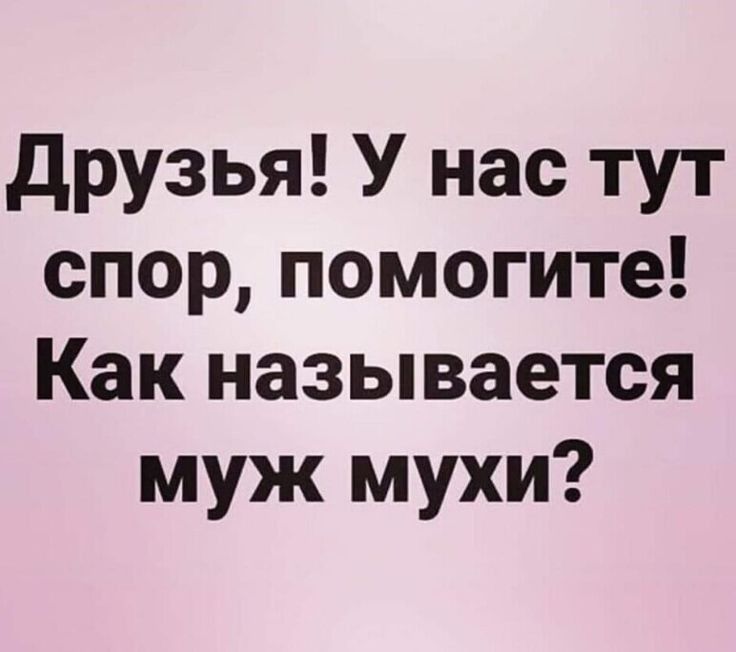 друзья У нас тут спор помогите Как называется муж мухи