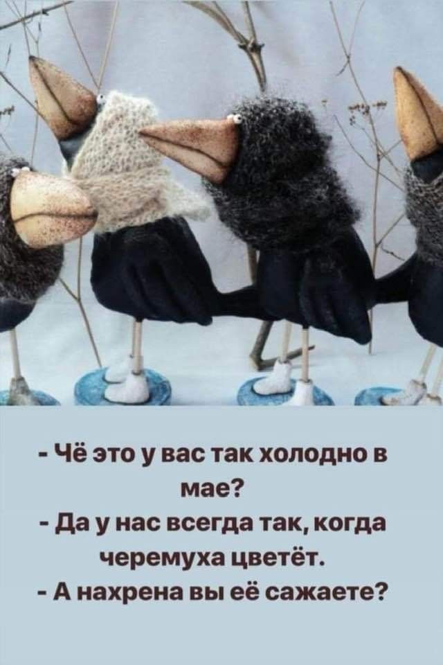 _ дай Ю МЛН Ж Чё это у вас так холодно в мае да у нас всегда так когда черемуха цветёт А нахрена вы её сажаете