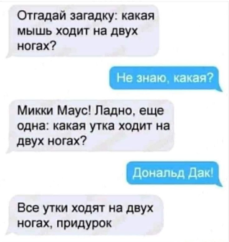 Отгадай загадку какая мышь ходит на двух ногах Микки Маус Ладно еще одна какая утка ходит на двух ногах Все утки ходят на двух ногах придурок