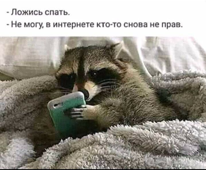 А Ложись спать Не могу в интернете кто то снова не прав