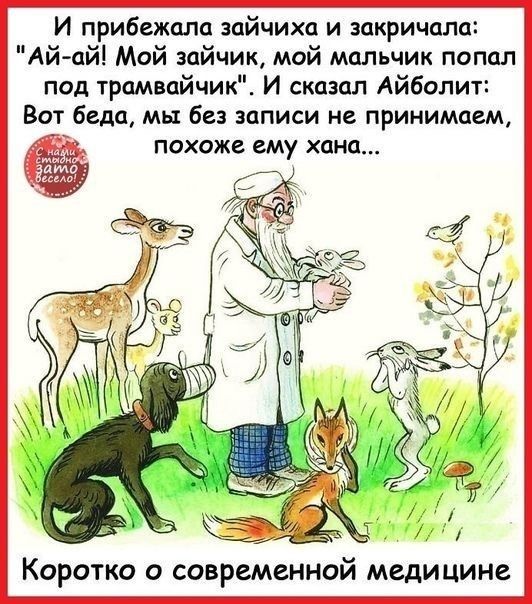 И прибежала зайчихи и закричала Ай ай Мой зайчик мой мальчик попал под трамвайчик И сказал Айболит Вот беда мы без записи не принимаем похоже ему хана Коротко о современной медицине