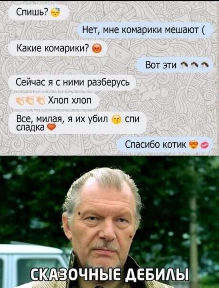 Спишь Нет мне комарики мешают Какие комарики Вот эти Сейчас я с ними разберусь Хлоп хлоп Все милая я их убил спи сладка Спасибо котик _ Сказочные дЁБИАЫ Ё