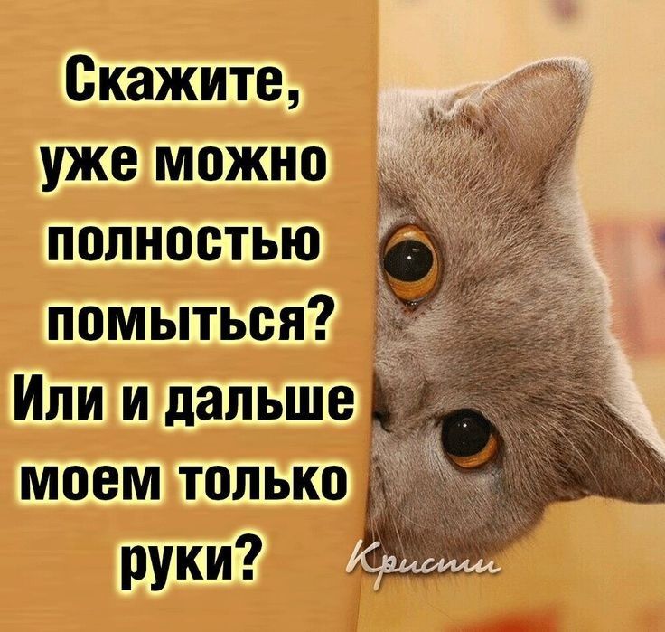 Скажите уже можно полностью помыться Или и дальше моем только руки